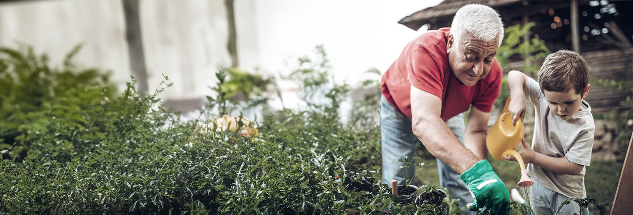 Elderly man can work in the garden again with his grandson thanks to DBS therapy